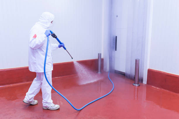 Best Rust Removal  in Jamestown, OH