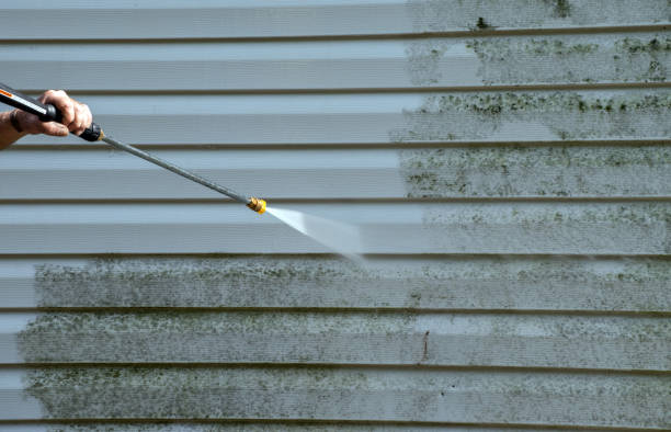 Best Gutter Cleaning  in Jamestown, OH